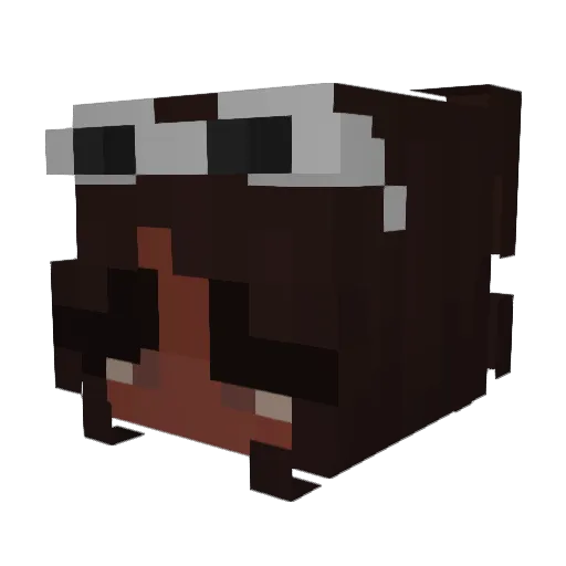 Mesther0 Minecraft avatar head, 3D render