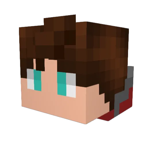 Mestre564 Minecraft avatar head, 3D render