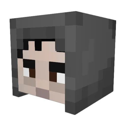 Met4lGabri_ Minecraft avatar head, 3D render