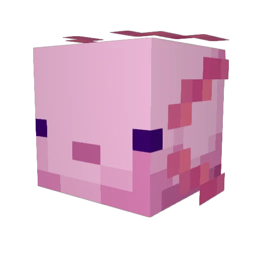 MetPython Minecraft avatar head, 3D render