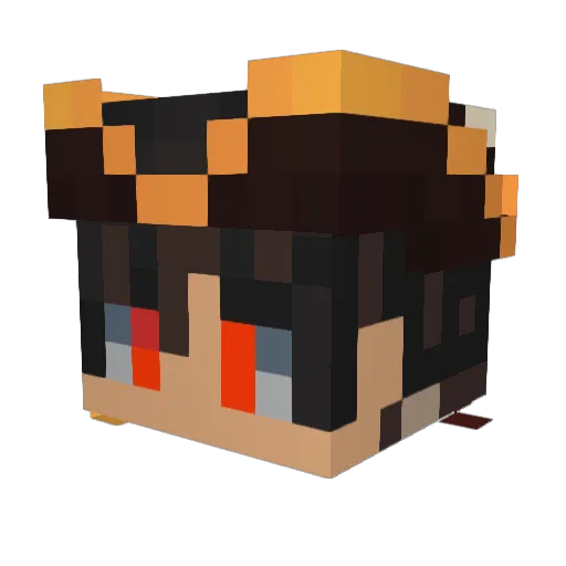 Met_infer97 Minecraft avatar head, 3D render