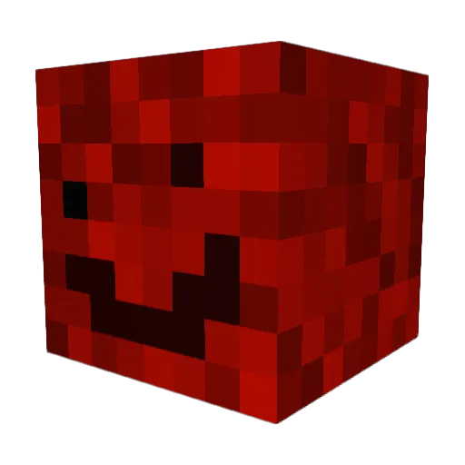 MetaKnight12323 Minecraft avatar head, 3D render
