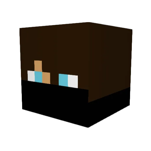 MetaNxn Minecraft avatar head, 3D render