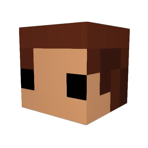 MetalFungus1771 Minecraft avatar head, 3D render