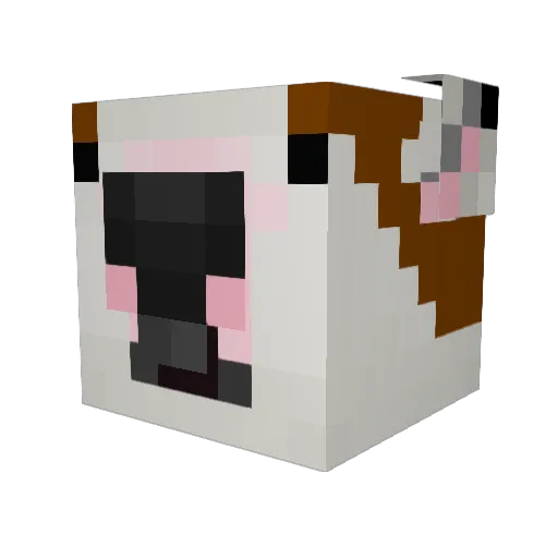 MetalGuru118 Minecraft avatar head, 3D render
