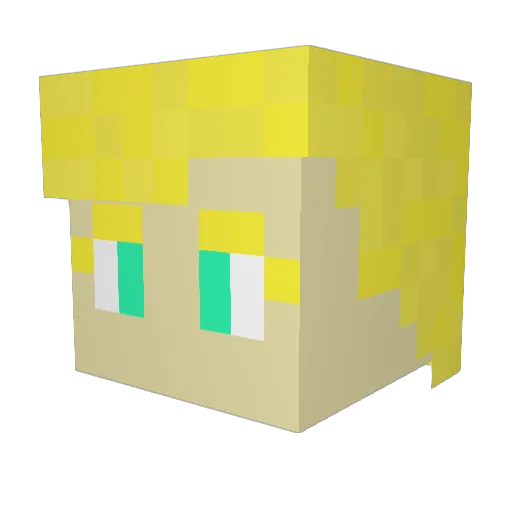 MetalMarmot1008 Minecraft avatar head, 3D render
