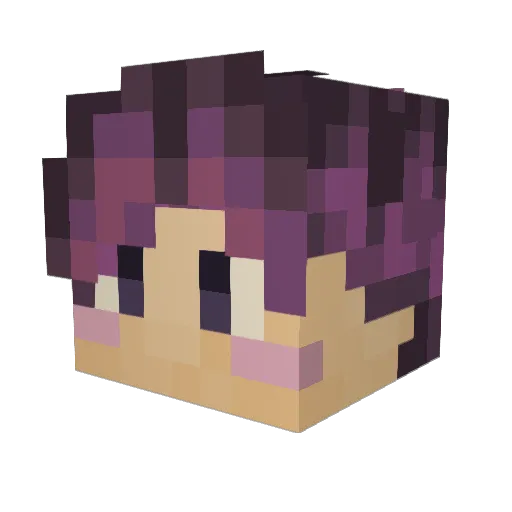MetalMelter44 Minecraft avatar head, 3D render