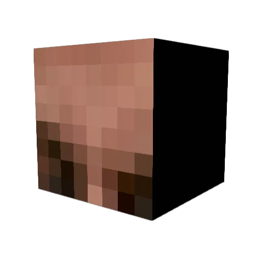MetalQueer Minecraft avatar head, 3D render