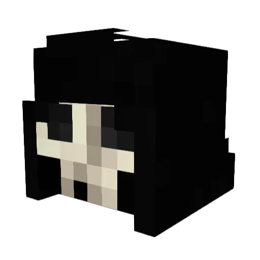 MetalReaper97 Minecraft avatar head, 3D render