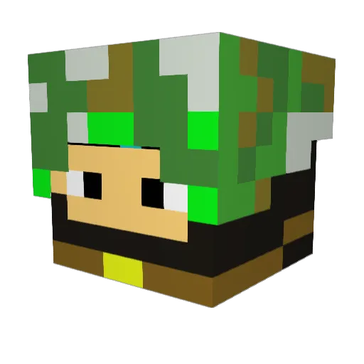 MetalSnake09 Minecraft avatar head, 3D render