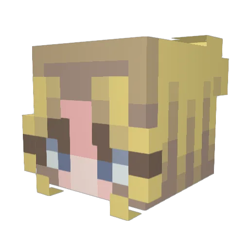 Metalbolt616 Minecraft avatar head, 3D render
