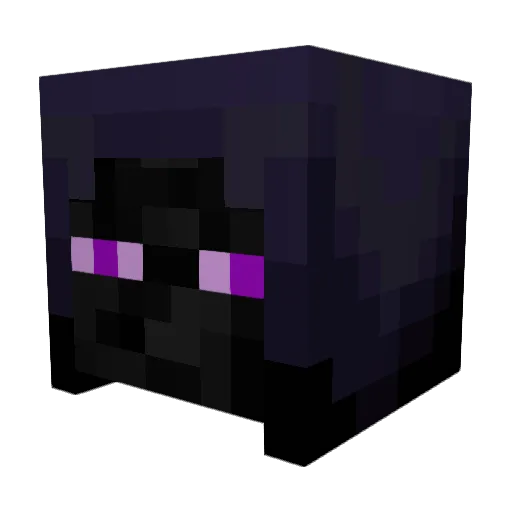Metalcactus8059 Minecraft avatar head, 3D render