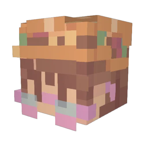 Metalcat2004 Minecraft avatar head, 3D render