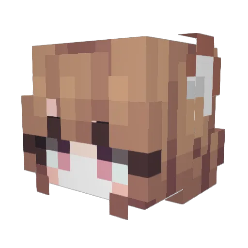 Metalerix Minecraft avatar head, 3D render