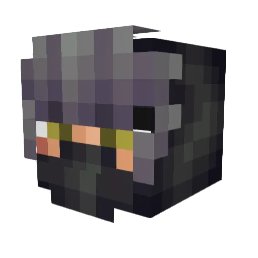 MetaliiX Minecraft avatar head, 3D render