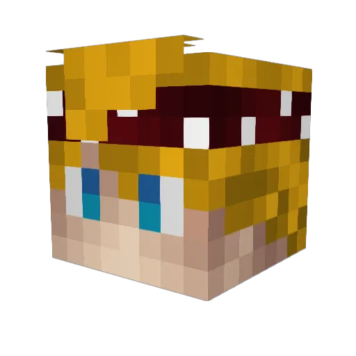Metallic144 Minecraft avatar head, 3D render