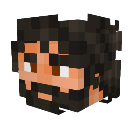 MetallicPoet Minecraft avatar head, 3D render