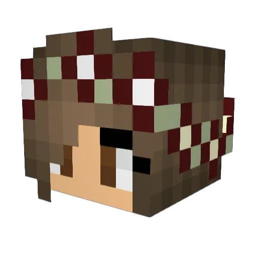 Metalsonic2002 Minecraft avatar head, 3D render