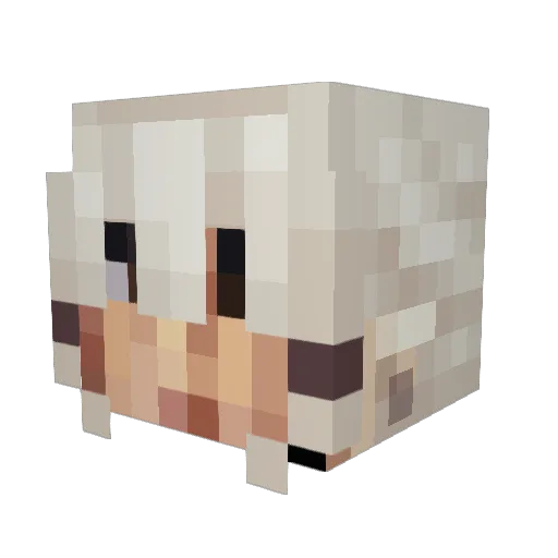 Minecraft-Avatar von Metamancy: Kopf als 3D-Render