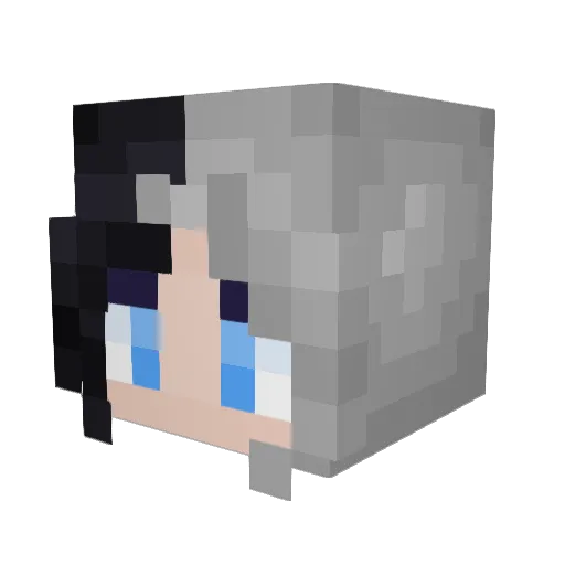 Metamon_0132 Minecraft avatar head, 3D render