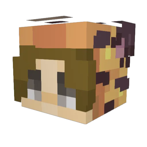 Metamonnnnnn Minecraft avatar head, 3D render