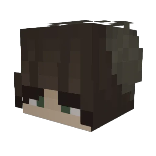 Metastaseis Minecraft avatar head, 3D render