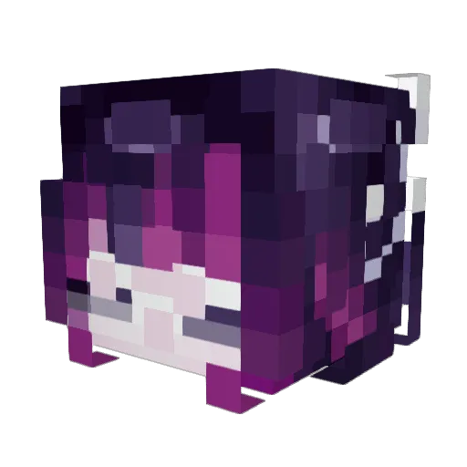 Meteor0331 Minecraft avatar head, 3D render