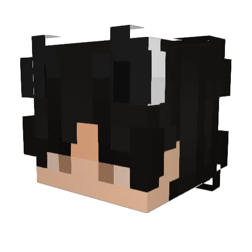 Meteor2528 Minecraft avatar head, 3D render