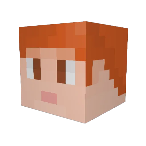MeteorExe Minecraft avatar head, 3D render