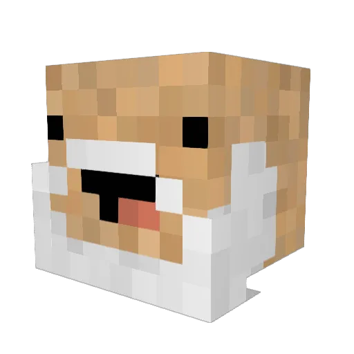MeteorPigeon Minecraft avatar head, 3D render