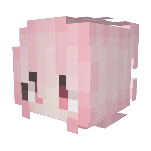 Meteor_QN Minecraft avatar head, 3D render
