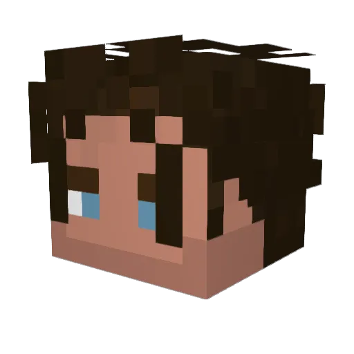 Meteor_Survivor Minecraft avatar head, 3D render