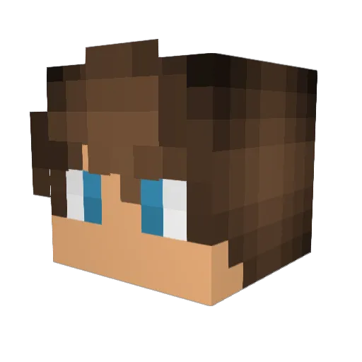 Meteora29 Minecraft avatar head, 3D render