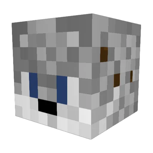 MeteoricWolf281 Minecraft avatar head, 3D render
