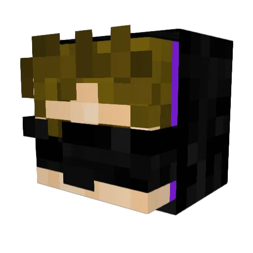 Meteorite_YT Minecraft avatar head, 3D render