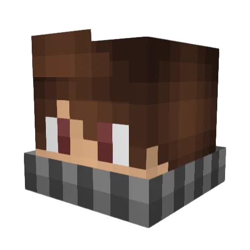 Meteorologist87 Minecraft avatar head, 3D render