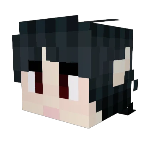 Meteorstar Minecraft avatar head, 3D render