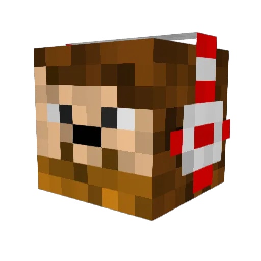 Metfly7 Minecraft avatar head, 3D render