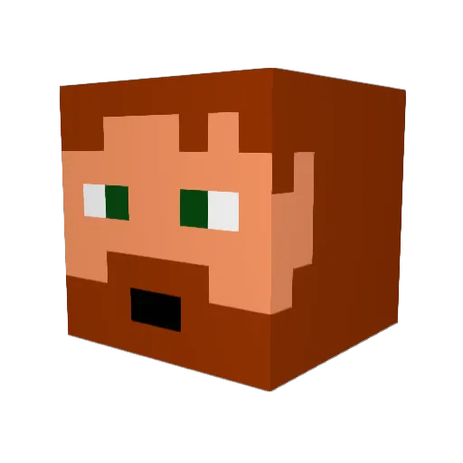 Meth_Head Minecraft avatar head, 3D render