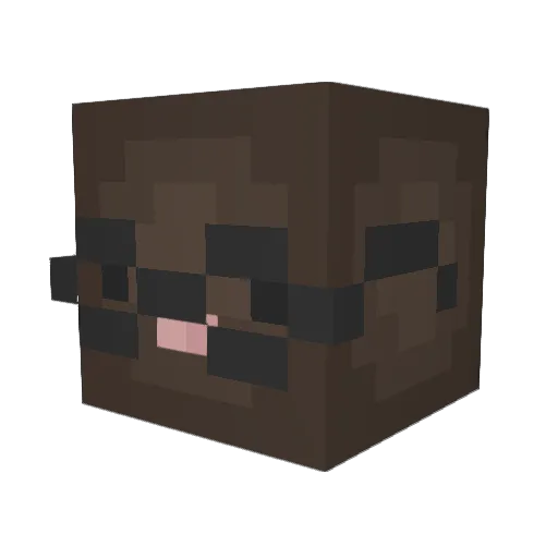 MethamfetamineM Minecraft avatar head, 3D render