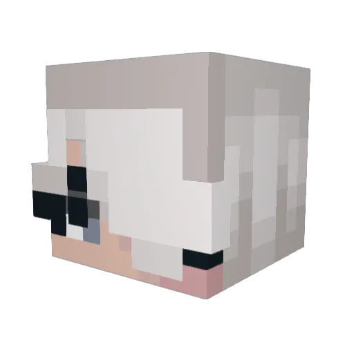 Methusaleh Minecraft avatar head, 3D render