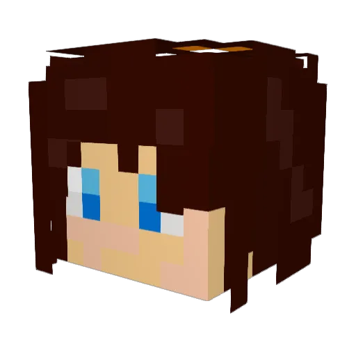 MethylCAM Minecraft avatar head, 3D render