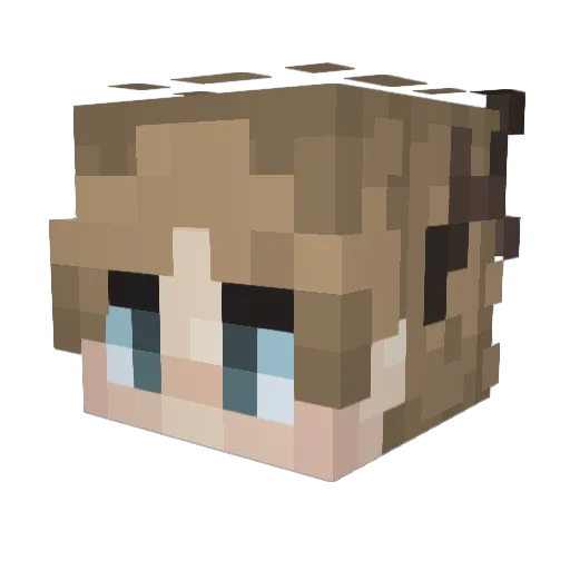 Metiao Minecraft avatar head, 3D render