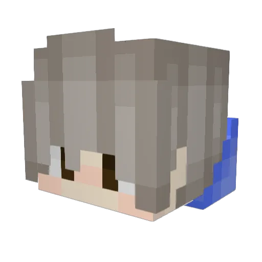Meticulouswolf Minecraft avatar head, 3D render
