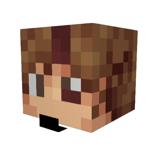 MetoPlay5167 Minecraft avatar head, 3D render