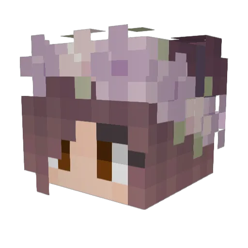 MetprincessCC Minecraft avatar head, 3D render