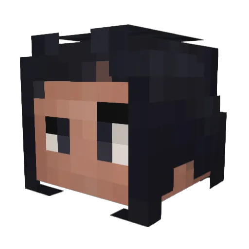 Metr0_o Minecraft avatar head, 3D render