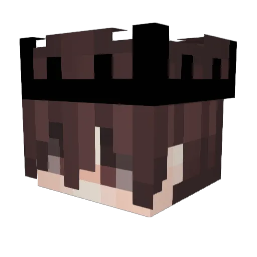 MetriK_ Minecraft avatar head, 3D render