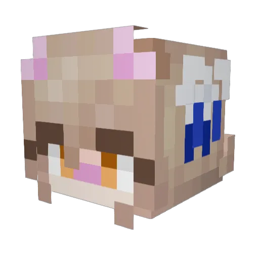Metricamp_ Minecraft avatar head, 3D render