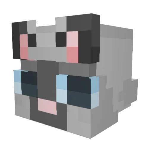 Metrick223 Minecraft avatar head, 3D render